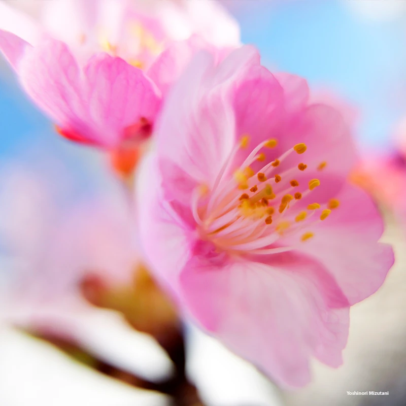 Panasonic Lumix L10