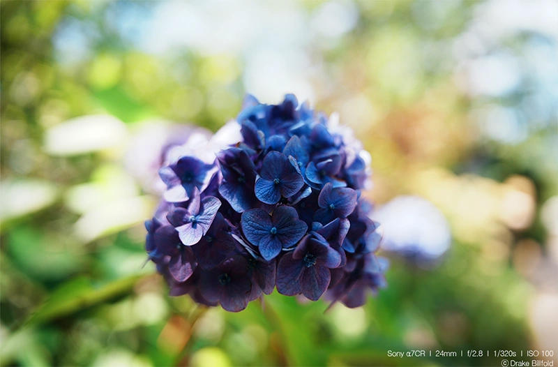 Samyang AF 24-60mm f2.8 Sony E