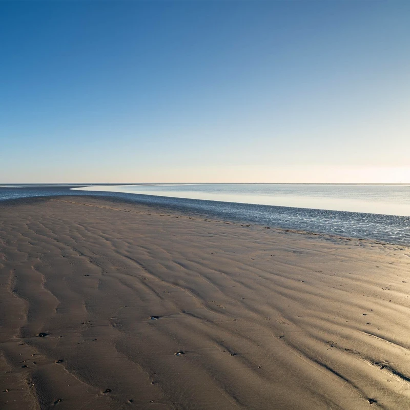 sigma 17mm f4