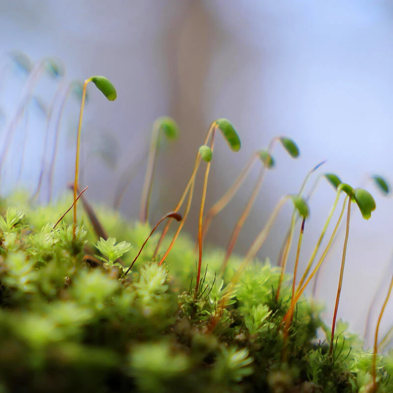 SIGMA 18-50mm F2.8 DC DN Contemporary