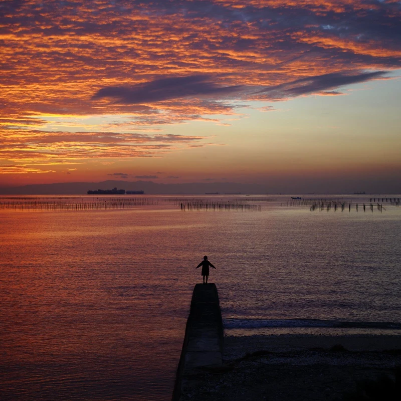 Sigma 50mm f/1.4 DG DN Art