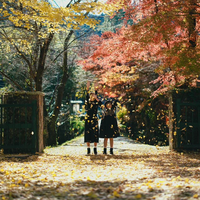 Sigma 50mm f/1.4 DG DN Art