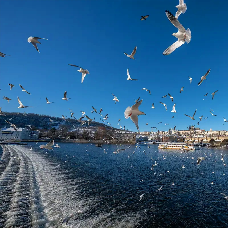Tamron 12-20mm f/2.8 Di III pre Nikon Z