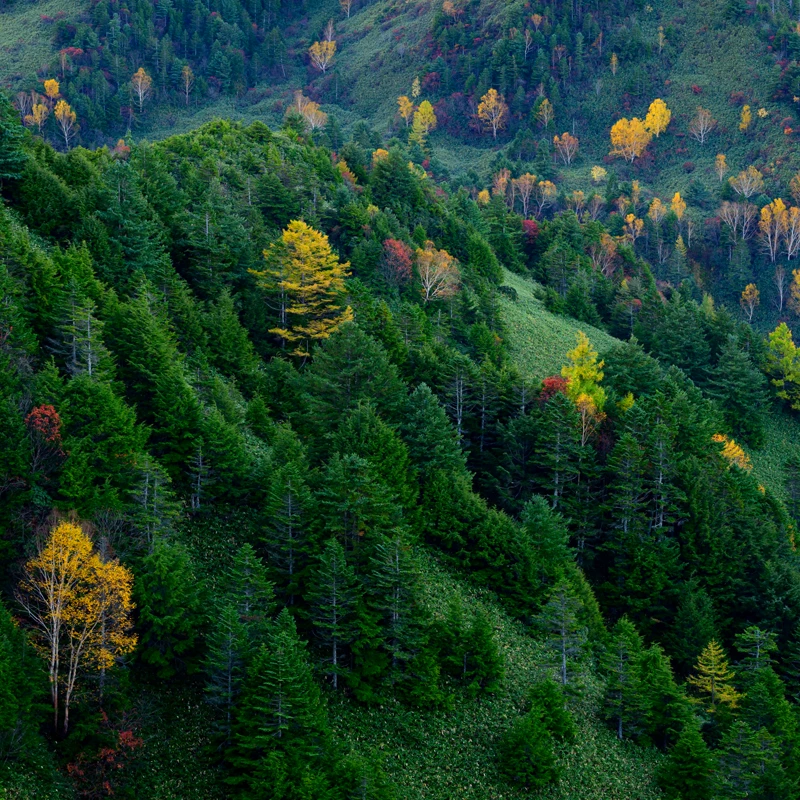 Tamron 35-100mm F/2.8 Di III VXD