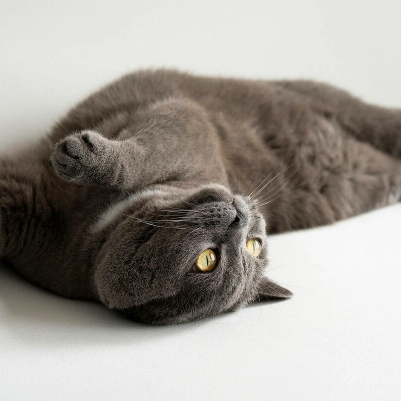 Tamron 50-300mm F/4.5-6.3 Di III VC VXD 