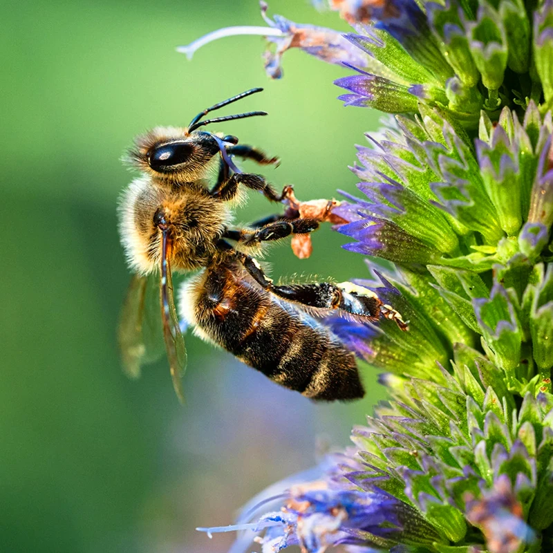 Tamron 90mm f/2.8 Di III VXD