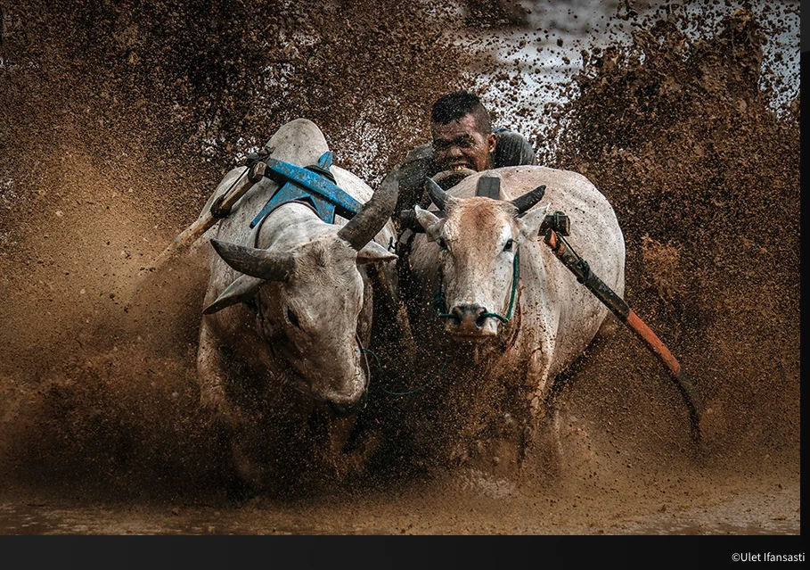  Fuji x-h2s, fotografovanie objektov v pohybe, dokonal zaostrenie pohybujcich sa zvierat