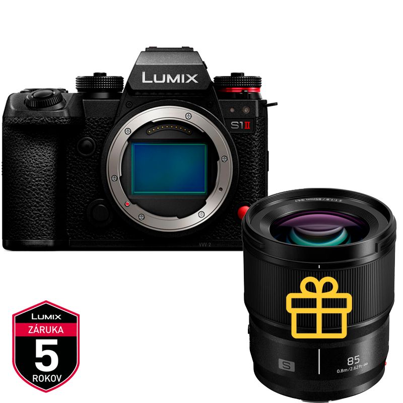 Panasonic Lumix S1II