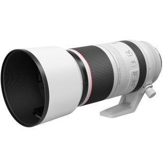 Canon RF 100-500mm f/4.5-7.1 L IS USM