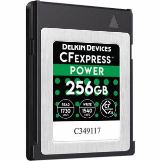 Delkin Devices 256GB CFexpress POWER Type B