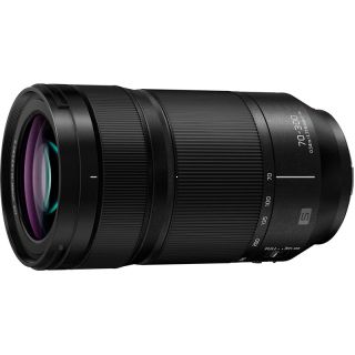 Panasonic Lumix S 70-300mm f/4.5-5.6 MACRO O.I.S.