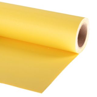 Papierov pozadie 1,38 m x 11 m - slnenica