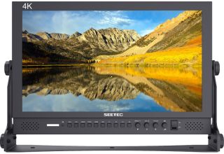SEETEC P173-9HSD - 17.3" monitor