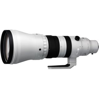 Sigma 300-600mm f/4 DG OS Sports Sony E